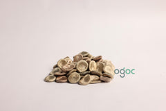 Strychnos Nux-Vomica Tree Seeds - Poison Nut Seeds for Botanical Collections & Herbal Medicine | OGOC