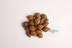 Terminalia Chebula Tree Seeds - Haritaki Seeds for Ayurvedic Gardens & Holistic Wellness | OGOC