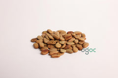 Caesalpinia Sappan Plant Seeds - RARE Sappanwood Tree Seeds for Gardening & Herbal| OGOC