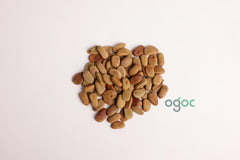 Caesalpinia Sappan Plant Seeds - RARE Sappanwood Tree Seeds for Gardening & Herbal | OGOC