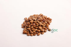 Cassia Fistula Plant Seeds - RARE Golden Shower Tree Seeds for Tropical Gardens & Landscapes | OGOC