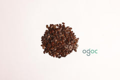 Leucaena Leucocephala Tree Seeds - White Leadtree Seeds for Sustainable Gardens & Landscapes | OGOC