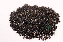 celosia plumosa | Seeds Of Red, Yellow , Rose MiX. CELOSIA PLUMOSE Gardening plant seeds | Amaranthaceae | Pack of 100 Healthy Seeds.| OGOC