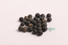 Shatavari seeds - Asparagus racemosus, Herbal Seeds, Vegetable Seeds, kitchen planation| OGOC