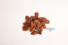 Swietenia Macrophylla Tree Seeds - Genuine Mahogany Seeds for Sustainable Woodworking & Reforestation | OGOC