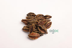 Terminalia Arjuna Tree Seeds - Sacred Arjuna Seeds for Ayurvedic Gardens & Herbal Medicine| OGOC
