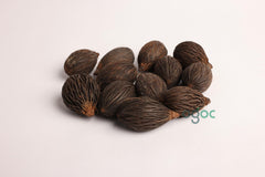 Wodyetia Bifurcata Tree Seeds - Foxtail Palm Seeds for Tropical Gardens & Landscaping | OGOC