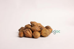 Terminalia Chebula Tree Seeds - Haritaki Seeds for Ayurvedic Gardens & Holistic Wellness | OGOC