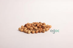 Ziziphus Mauritiana Tree Seeds - Indian Jujube Seeds for Edible Landscapes & Drought Resistance | OGOC