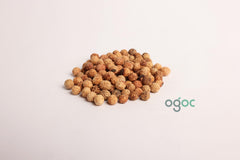 Ziziphus Mauritiana Tree Seeds - Indian Jujube Seeds for Edible Landscapes & Drought Resistance | OGOC