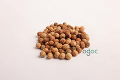 Ziziphus Mauritiana Tree Seeds - Indian Jujube Seeds for Edible Landscapes & Drought Resistance | OGOC