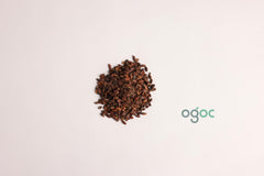 Phyllanthus Emblica Tree Seeds - Indian Gooseberry Seeds for Healthy Gardens & Ayurvedic Remedies | OGOC