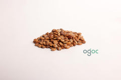 Cassia Fistula Plant Seeds - RARE Golden Shower Tree Seeds for Tropical Gardens & Landscapes | OGOC