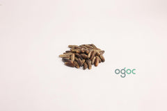 Enterolobium Cyclocarpum Tree Seeds - RARE Elephant Ear Seeds for Tropical Gardens & Landscapes| OGOC