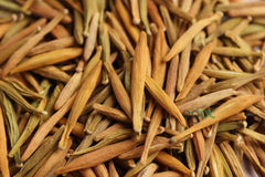 Briedelia Retusa Seeds - RARE Indian Sandalwood Tree Seeds for Aromatic Gardens| OGOC