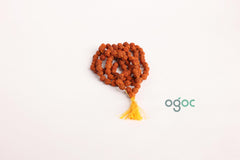 108+1 Indian Rudraksha Mala with Guru Beads - 5 Mukhi 5 Faces, Lord Shiva's Rosary Jaap Mala Yoga, Meditation, Prayer Pocket Mala, Bracelet