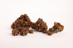 Indian Bdellium-Tree (Gugal/Guggul/Gugul) - Mukul Myrrh Tree | Medicinal Resin, Herbal Use Only| OGOC