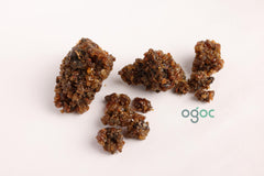 Indian Bdellium-Tree (Gugal/Guggul/Gugul) - Mukul Myrrh Tree | Medicinal Resin, Herbal Use Only| OGOC