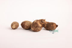 Rare Elephant Ear Colocasia Esculenta Taro Bulbs - Unique Exotic Plant Rhizomes| OGOC