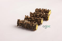 6-Inch Giloy Stem - Guduchi Tinospora Cordifolia Chittamruthu Amrta Bela Guchcha Amrita Ayurvedic Herb - Immune Boosting| OGOC