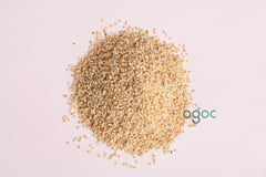 Sama Rice 200g - Barnyard Millet for Navratri Fast, Upwas Samak Chawal, Kuthiravali, Samvat, Little Millet | OGOC