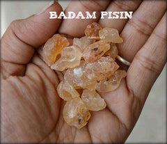 Badam Pisin | Natural Almond Gum | Edible Gum for Cooling Drinks & Ayurvedic Remedies | OGOC