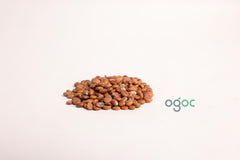 Cassia Javanica Tree Seeds - Pink Shower Tree Seeds for Tropical Gardens & Landscapes | OGOC