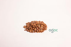 Cassia Javanica Tree Seeds - Pink Shower Tree Seeds for Tropical Gardens & Landscapes | OGOC