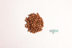 Cassia Javanica Tree Seeds - Pink Shower Tree Seeds for Tropical Gardens & Landscapes | OGOC
