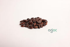 Tamarindus Indica Tree Seeds - Tamarind Seeds for Tropical Gardens & Culinary Delights| OGOC