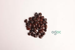 Tamarindus Indica Tree Seeds - Tamarind Seeds for Tropical Gardens & Culinary Delights| OGOC