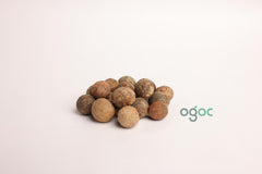Terminalia Bellirica Tree Seeds - Baheda Seeds for Ayurvedic Gardens & Natural Remedies| OGOC
