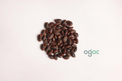 Sterculia Guttata Tree Seeds - Indian Almond Seeds for Ornamental Gardens & Shade Trees| OGOC