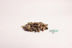 Enterolobium Cyclocarpum Tree Seeds - RARE Elephant Ear Seeds for Tropical Gardens & Landscapes| OGOC