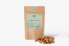 Putranjiva Roxburghii Tree Seeds - Child-Life Tree Seeds for Ornamental Gardens & Biodiversity| OGOC