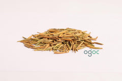 Briedelia Retusa Seeds - RARE Indian Sandalwood Tree Seeds for Aromatic Gardens | OGOC