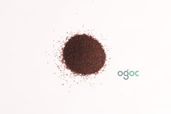 Neolamarckia Cadamba Tree Seeds - Kadamba Seeds for Vibrant Gardens & Natural Dyes | OGOC