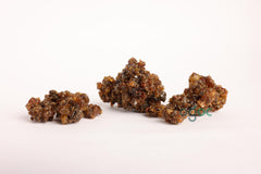 Indian Bdellium-Tree (Gugal/Guggul/Gugul) - Mukul Myrrh Tree | Medicinal Resin, Herbal Use Only| OGOC