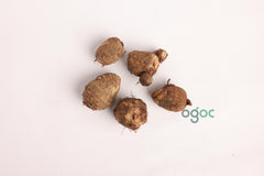 Rare Elephant Ear Colocasia Esculenta Taro Bulbs - Unique Exotic Plant Rhizomes| OGOC