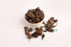 Mustaka (Nut Grass) - muthanga Organic Ayurvedic Herb for Wellness & Herbal Remedies"| OGOC