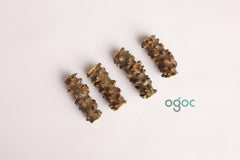 6-Inch Giloy Stem - Guduchi Tinospora Cordifolia Chittamruthu Amrta Bela Guchcha Amrita Ayurvedic Herb - Immune Boosting| OGOC