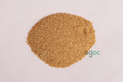 Poppy Seeds - White Kaskas, Indian Poppy Seeds, Khus Khus, Gasagasalu, Kasa Kasa, Kas Kas, Gasegase, Posto, Khush Khush | OGOC