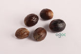 Dried Nutmeg Seeds - Aromatic Spice | Natural Seeds for Cooking, Herbal Remedies| OGOC