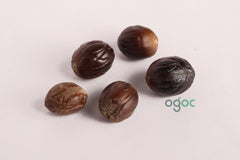 Dried Nutmeg Seeds - Aromatic Spice | Natural Seeds for Cooking, Herbal Remedies| OGOC