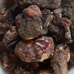 Muringai Pisin | Natural Drumstick Tree Gum | Edible Gum for Ayurvedic & Culinary Uses | OGOC