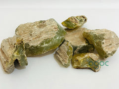 Sal Tree Resin Green - Shorea robusta | chenjalyam, Sal Dhoop for Incense, Dammar Resin Pure & Natural Frankincense Resin| OGOC
