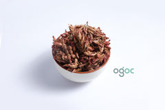 Frutico Sathaathiri Poovu Dried - Unique Dried Fruit for Snacking & Culinary Delights | OGOC