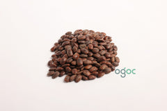 Albizia Saman Plant Seeds - Rare Rain Tree Seeds for Tropical Gardens & Landscapes | OGOC