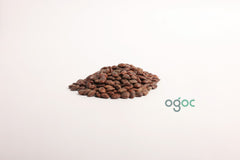 Albizia Saman Plant Seeds - Rare Rain Tree Seeds for Tropical Gardens & Landscapes | OGOC