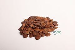 Bauhinia Purpurea Seeds - RARE Purple Orchid Tree Seeds for Gardeners & Botany Enthusiasts | OGOC